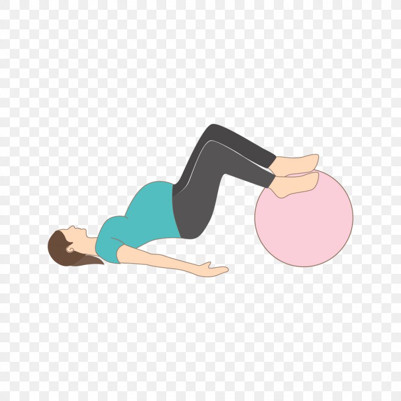 Exercise Balls Core Stability Fitness Centre Yoga & Pilates Mats, PNG, 1024x1024px, Exercise Balls, Aerobic Exercise, Arm, Balance, Ball Download Free