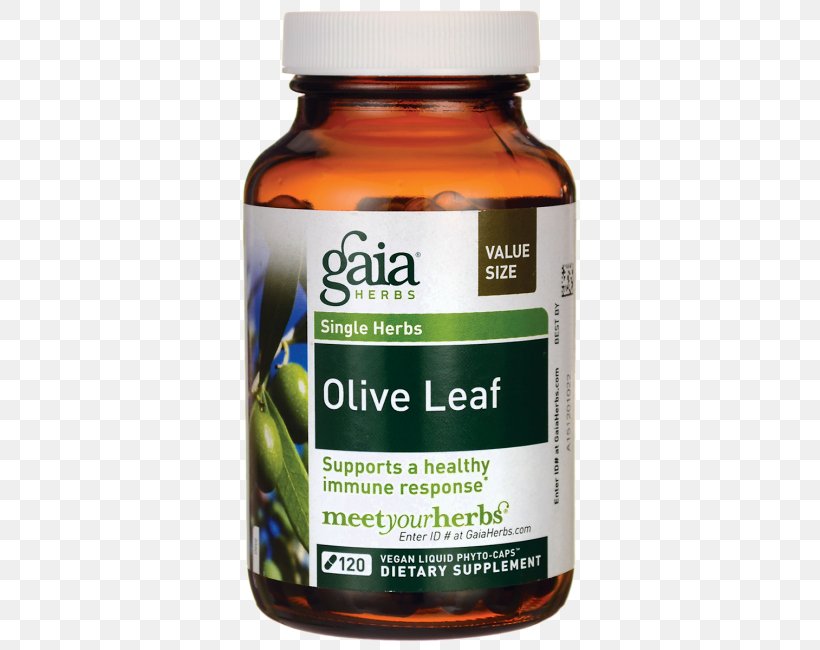 Gaia Herbs Olive Leaf, 120 Liquid Phyto-Capsules Dietary Supplement Product, PNG, 650x650px, Dietary Supplement, Diet, Liter, Olive, Olive Leaf Download Free