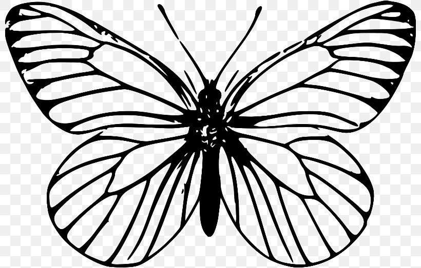 Papillon Dog Butterfly Clip Art, PNG, 800x523px, Papillon Dog, Arthropod, Black And White, Brush Footed Butterfly, Butterfly Download Free