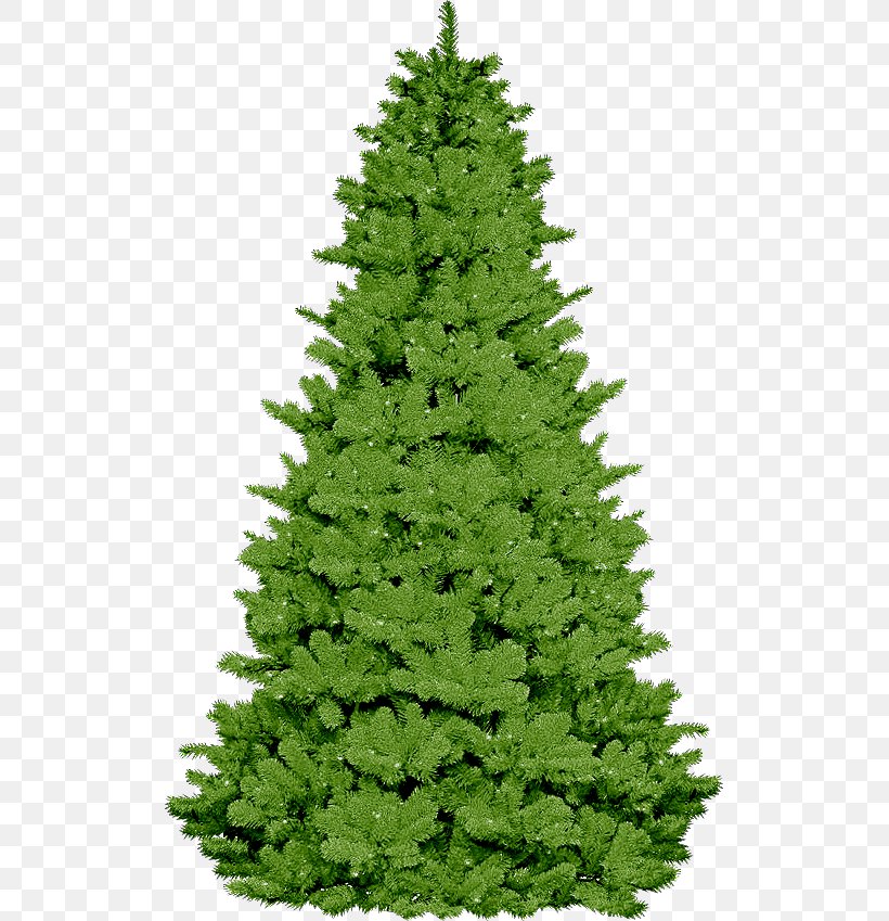 Spruce Christmas Tree Pre-school Fir Symbol, PNG, 515x849px, Spruce, Asilo Nido, Biome, Christmas Decoration, Christmas Tree Download Free