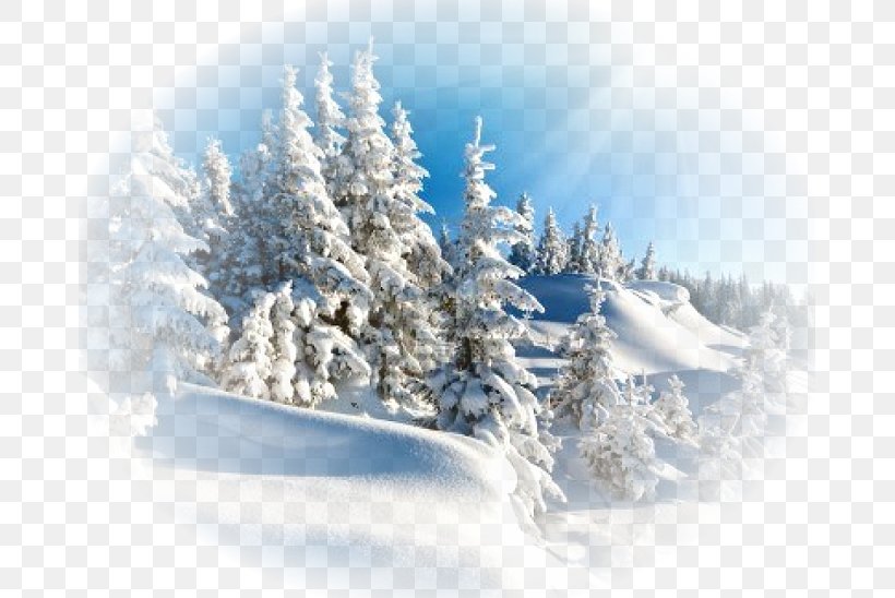Desktop Wallpaper Winter Snow Clip Art, PNG, 675x548px, Winter, Christmas Tree, Computer, Conifer, Evergreen Download Free