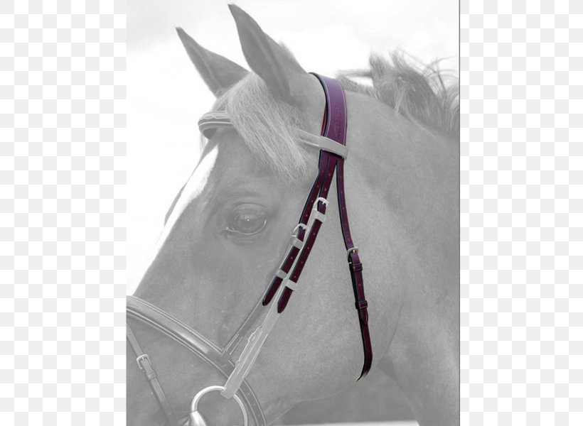 Horse Bridle Rein Noseband Halter, PNG, 600x600px, Horse, Breastplate, Bridle, Collection, Dressage Download Free