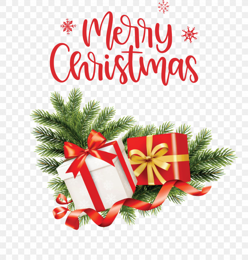 Merry Christmas Christmas Day Xmas, PNG, 2864x3000px, Merry Christmas, Christmas Day, Christmas Ornament, Christmas Ornament M, Conifers Download Free