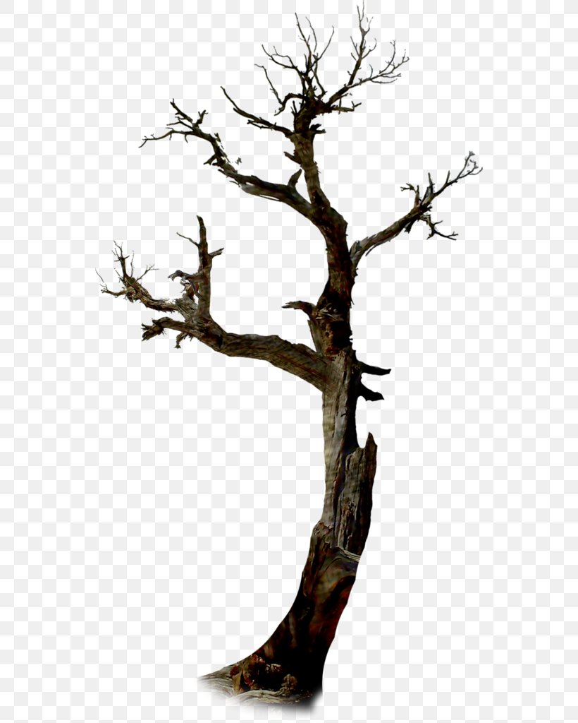 Twig Tree Halloween Branch, PNG, 550x1024px, Twig, Branch, Halloween, Holiday, Houseplant Download Free