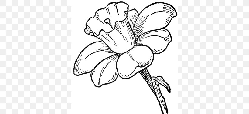 Drawing Flower Pencil Sketch, PNG, 350x376px, Drawing, Art, Artwork, Black And White, Cartoon Download Free