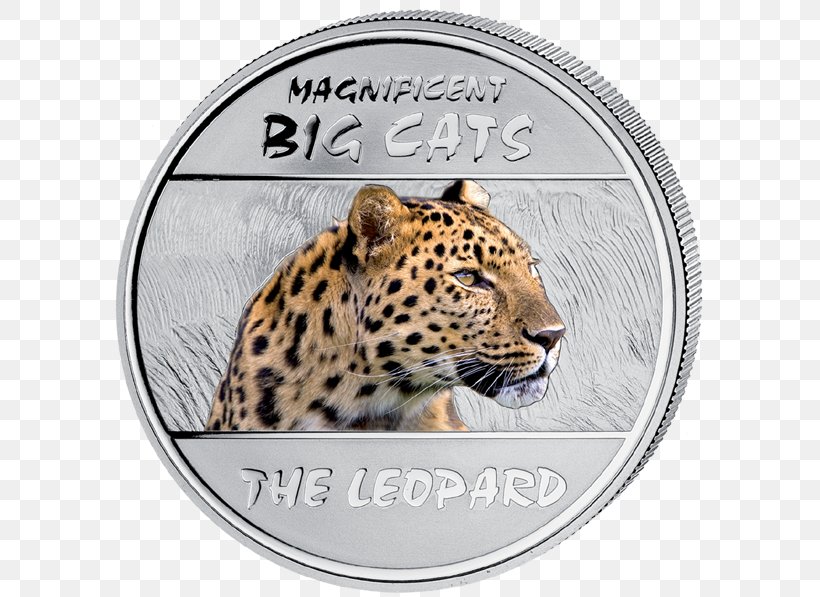 Felidae Tiger Amur Leopard Cat Indian Leopard, PNG, 600x597px, Felidae, African Leopard, Amur Leopard, Animal, Art Download Free