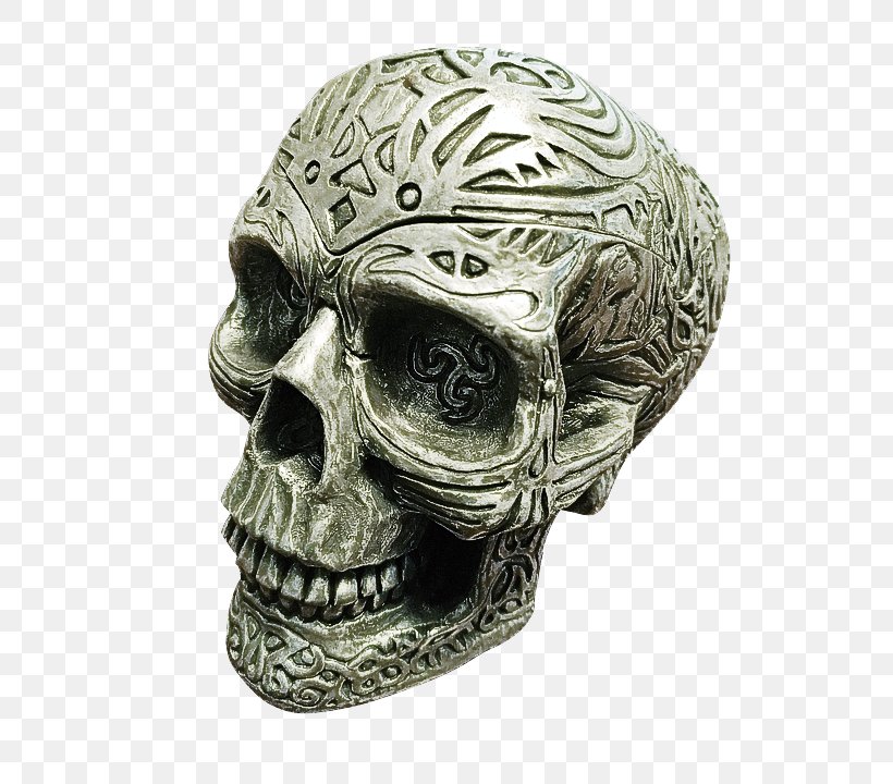 Head Skull Helmet Bone Headgear, PNG, 592x720px, Head, Bone, Headgear, Helmet, Jaw Download Free
