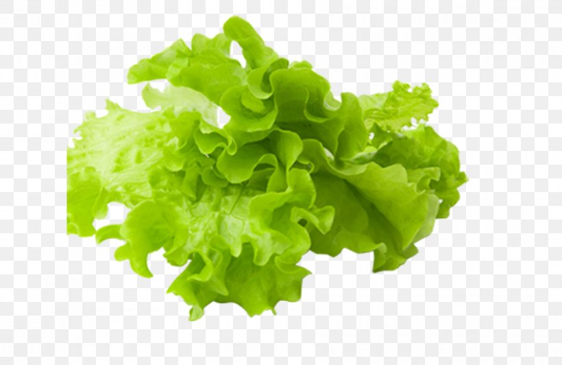 Vegetable Food Salad, PNG, 900x584px, Vegetable, Celtuce, Endive, Food, Greengrocer Download Free