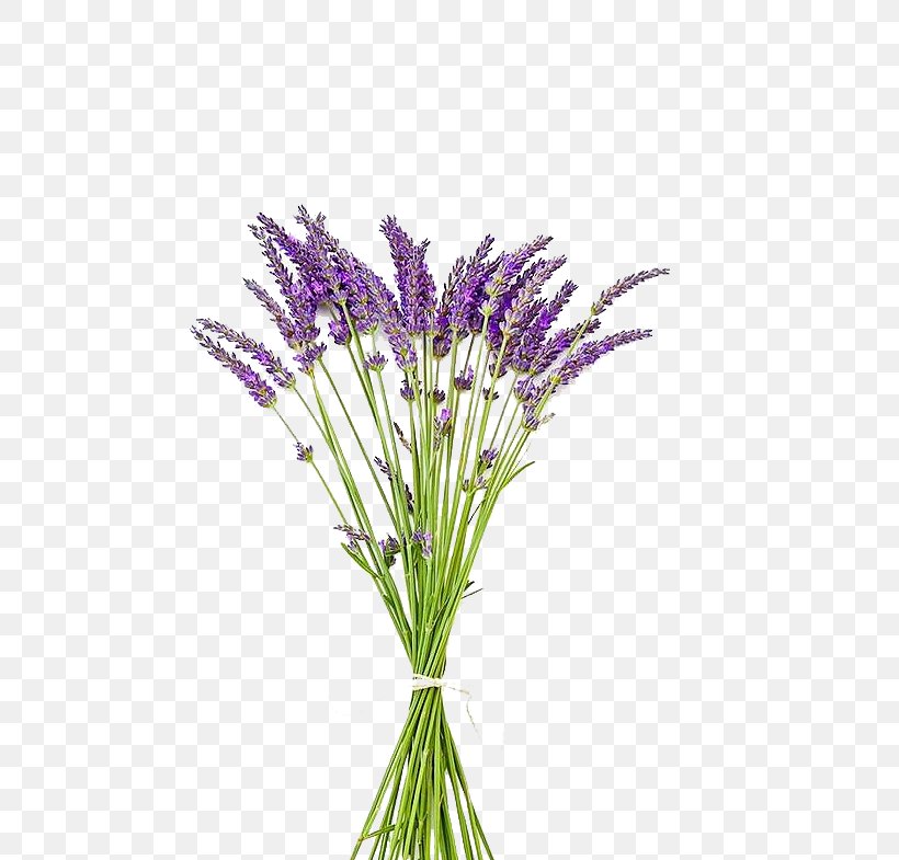 English Lavender Pressed Flower Craft Flower Bouquet, PNG, 550x785px, English Lavender, Cut Flowers, Decoupage, Drop Shipping, Flower Download Free