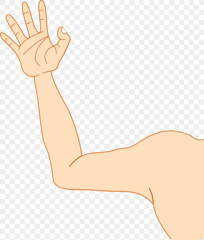 Arm Hand Finger Wrist Elbow, PNG, 1762x2075px, Watercolor, Arm, Elbow, Finger, Gesture Download Free