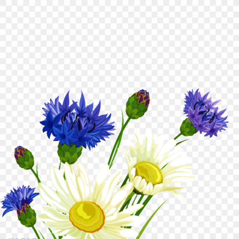 Flower Bouquet, PNG, 992x992px, Flower, Annual Plant, Aster, Chrysanths, Computer Graphics Download Free