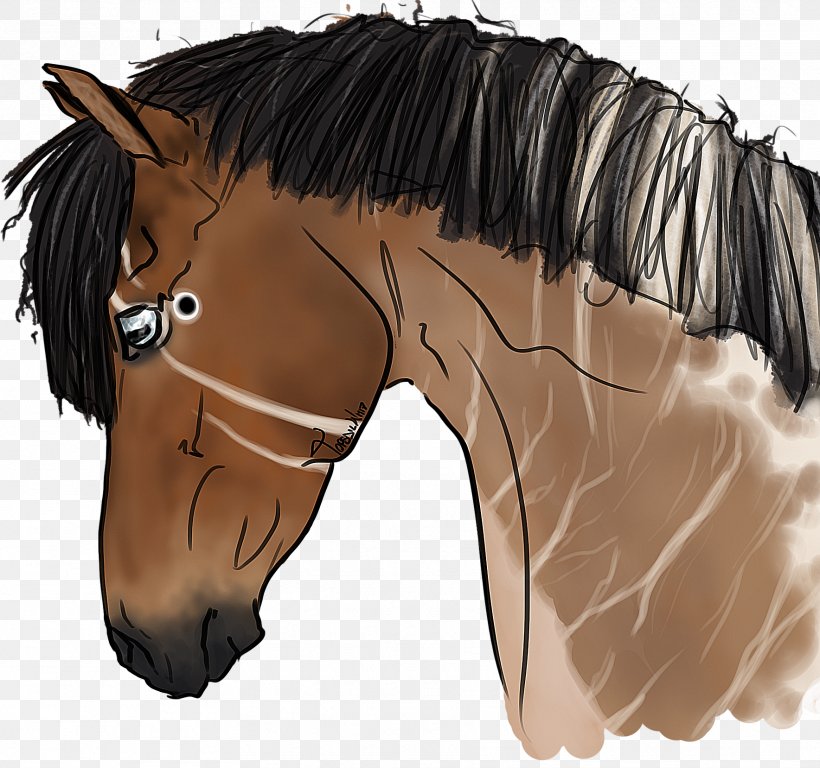 Mane Mustang Stallion Rein Halter, PNG, 1768x1657px, Mane, Bridle, Cartoon, Hair, Halter Download Free