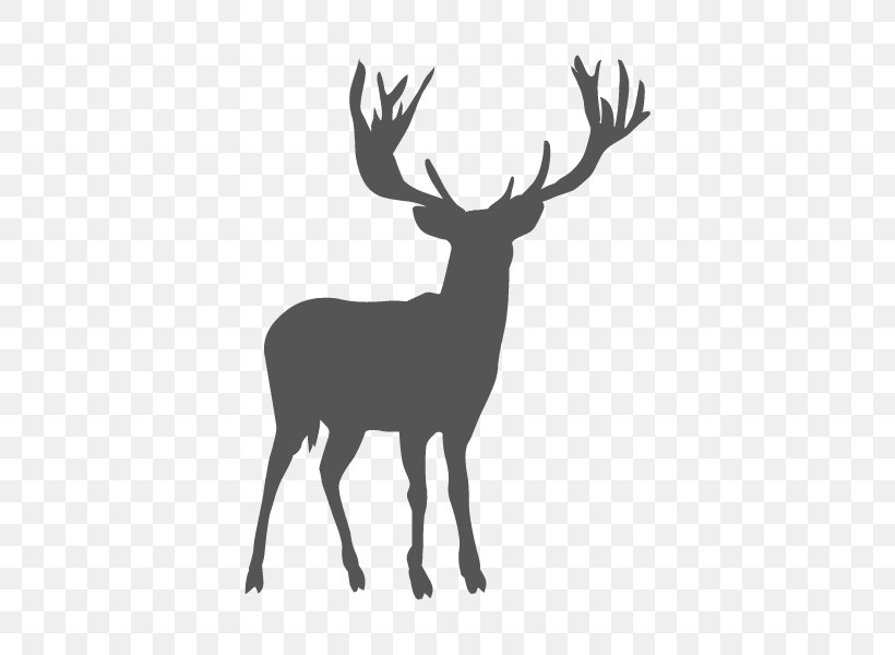 Reindeer White-tailed Deer Elk Antler, PNG, 600x600px, Reindeer, Antler, Black, Black And White, Deer Download Free