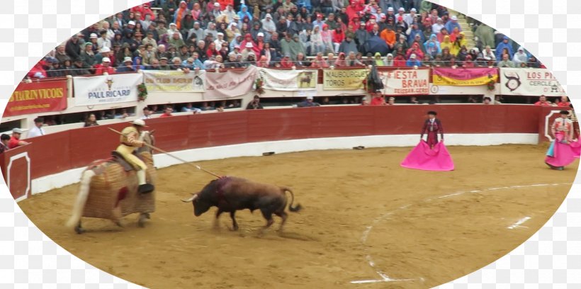 Bullfighting Bullring Bullfighter Rodeo, PNG, 1600x797px, Bullfighting, Animal Sports, Arena, Bull, Bullfighter Download Free