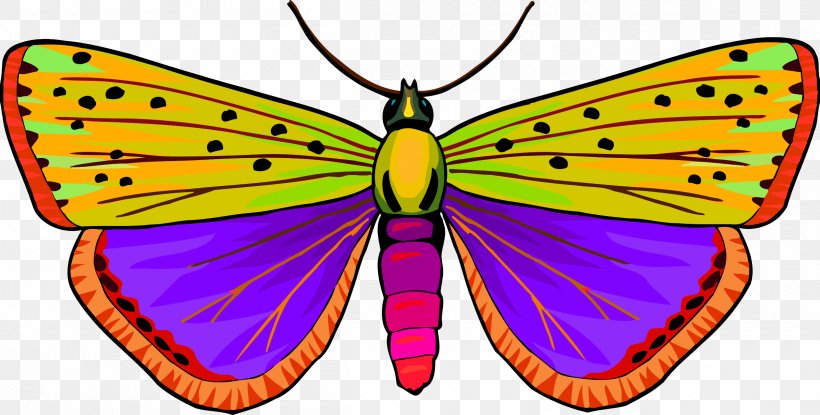 Butterfly Clip Art, PNG, 2400x1216px, Butterfly, Arthropod, Brush Footed Butterfly, Butterflies And Moths, Insect Download Free