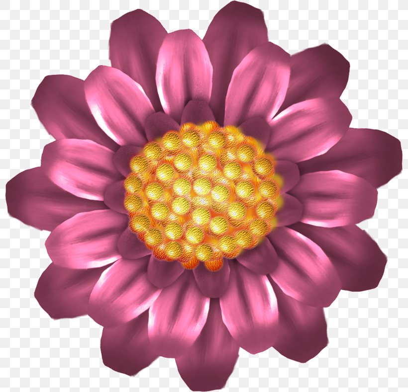 Drawing Red Flower Cartoon, PNG, 800x789px, Drawing, Animaatio, Animation, Cartoon, Chrysanths Download Free