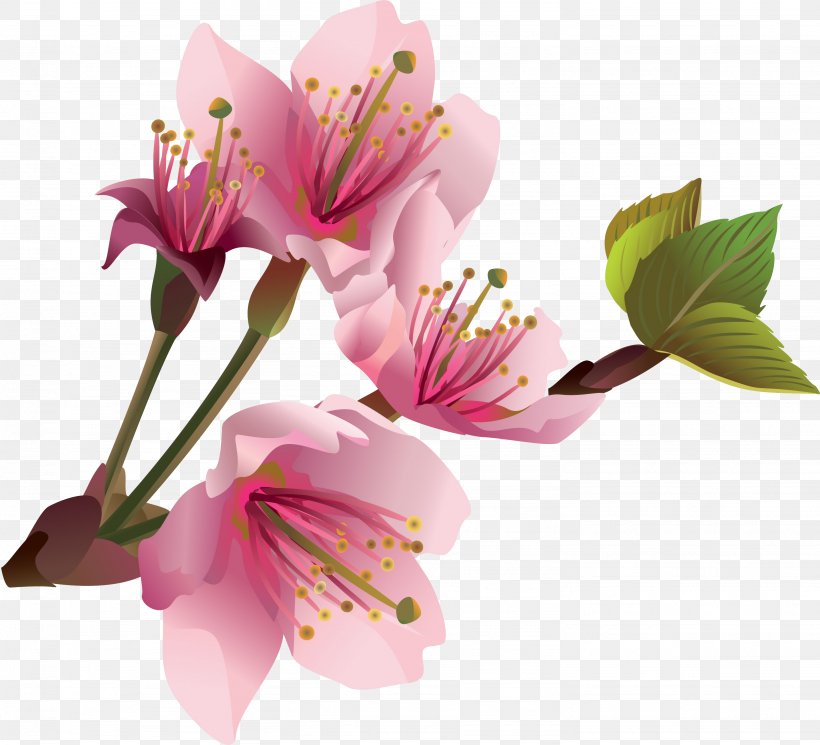 Flower Desktop Wallpaper Clip Art, PNG, 2871x2609px, Flower, Alstroemeriaceae, Blossom, Cherry Blossom, Cut Flowers Download Free