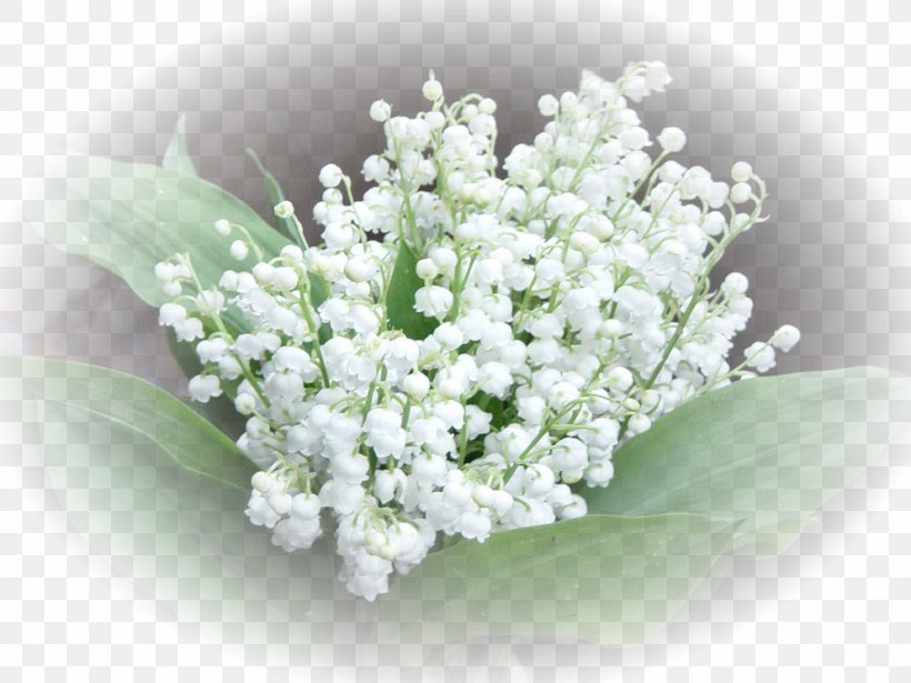 Lily Of The Valley 1 May Labour Day Perfume International Workers' Day, PNG, 992x744px, 2017, 2018, Lily Of The Valley, Flower, Holiday Download Free