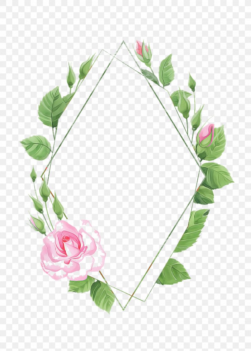 Floral Design, PNG, 1028x1440px, Floral Design, Cabbage Rose, Cut Flowers, Garden, Garden Roses Download Free