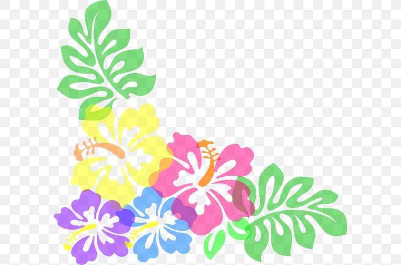 Hibiscus Schizopetalus Free Content Hawaiian Hibiscus Clip Art, PNG, 600x543px, Hibiscus Schizopetalus, Alyogyne Huegelii, Branch, Flora, Floral Design Download Free