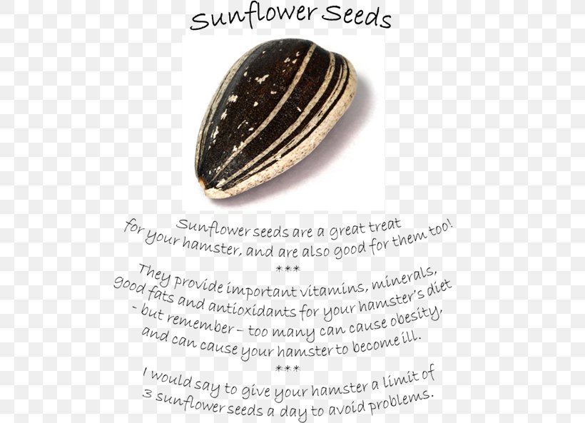 Jewellery Sunflower Seed Sunflowers Font, PNG, 501x593px, Jewellery, Sunflower Seed, Sunflowers Download Free