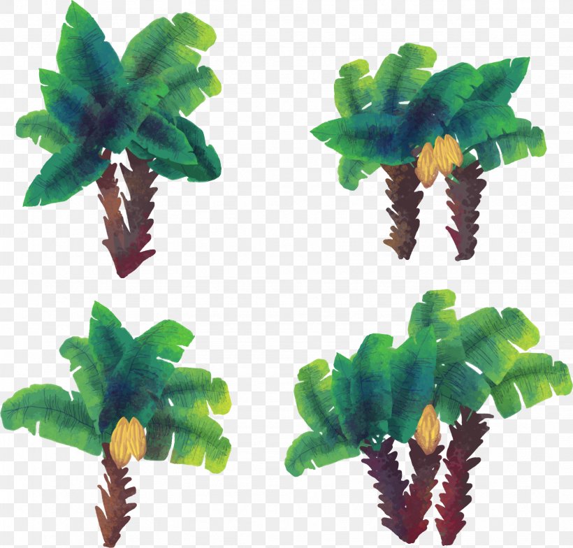 Coconut Arecaceae Euclidean Vector Watercolor Painting Tree, PNG, 1637x1566px, Arecaceae, Art, Coconut, Flowerpot, Leaf Download Free