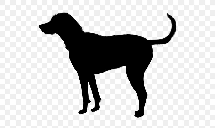Dog Breed Dalmatian Dog Labrador Retriever Blanket Puppy, PNG, 567x489px, Dog Breed, Black, Blanket, Canidae, Carnivore Download Free