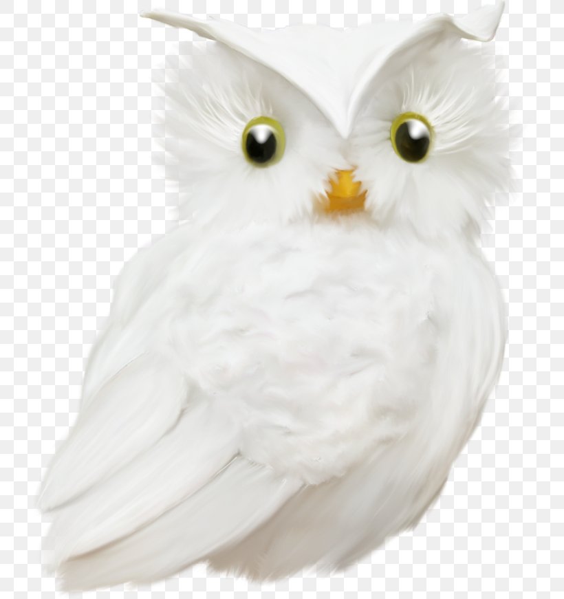 Owl Bird Animal Beak Feather, PNG, 725x871px, Owl, Animal, Beak, Bird, Bird Of Prey Download Free