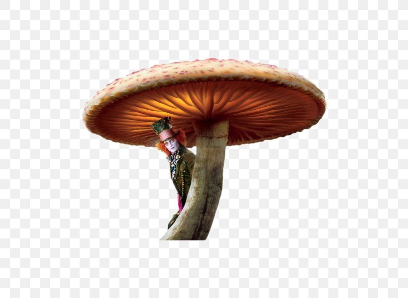 Alice's Adventures In Wonderland The Mad Hatter Red Queen Alice In Wonderland, PNG, 600x600px, Alices Adventures In Wonderland, Adventures In Wonderland, Agaric, Agaricaceae, Agaricomycetes Download Free