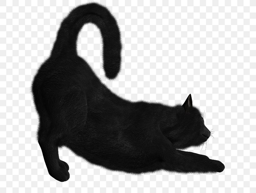 Bombay Cat Kitten Clip Art Desktop Wallpaper, PNG, 650x618px, Bombay Cat, Black, Black And White, Black Cat, Bombay Download Free