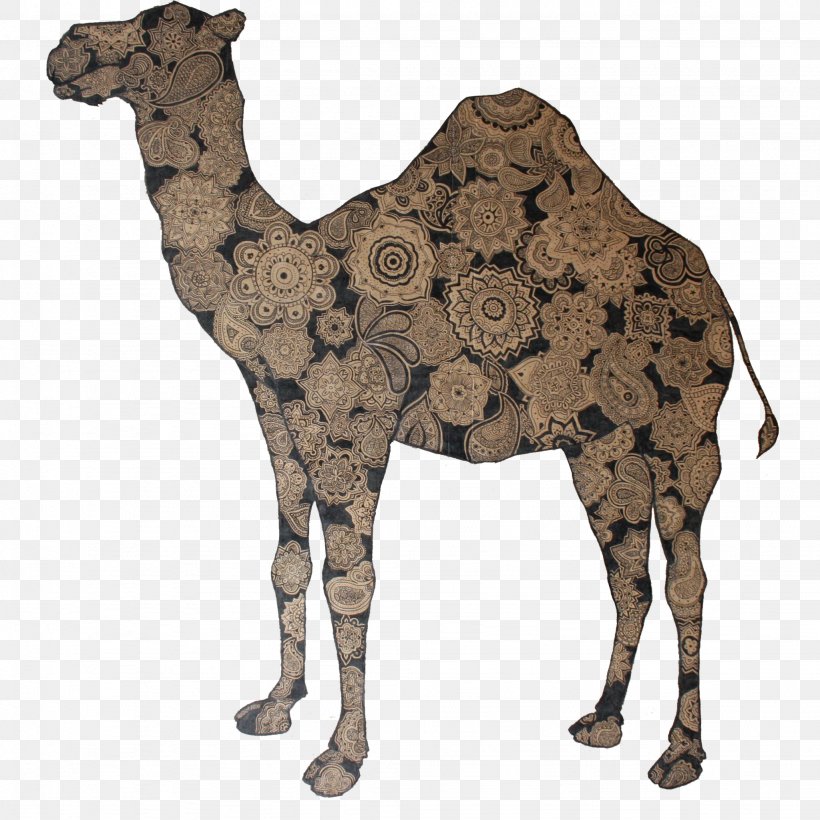 Dromedary NUIT DU FOLK India Ink Royans Ink Wash Painting, PNG, 2048x2048px, Dromedary, Animal, Arabian Camel, Art, Bar Download Free