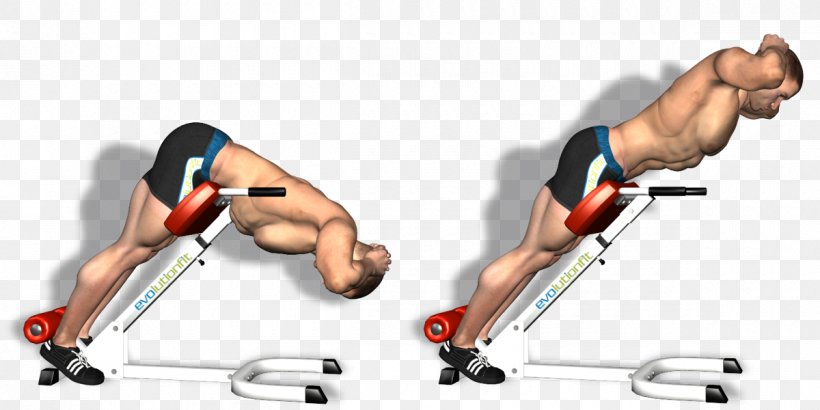 Hyperextension Exercise Fitness Centre Physical Fitness Weight Training, PNG, 1200x600px, Watercolor, Cartoon, Flower, Frame, Heart Download Free