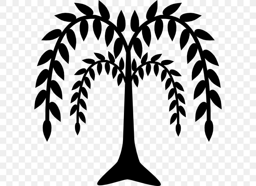 Weeping Willow Tree Drawing Clip Art, PNG, 600x595px, Weeping Willow, Arecales, Art, Black And White, Branch Download Free