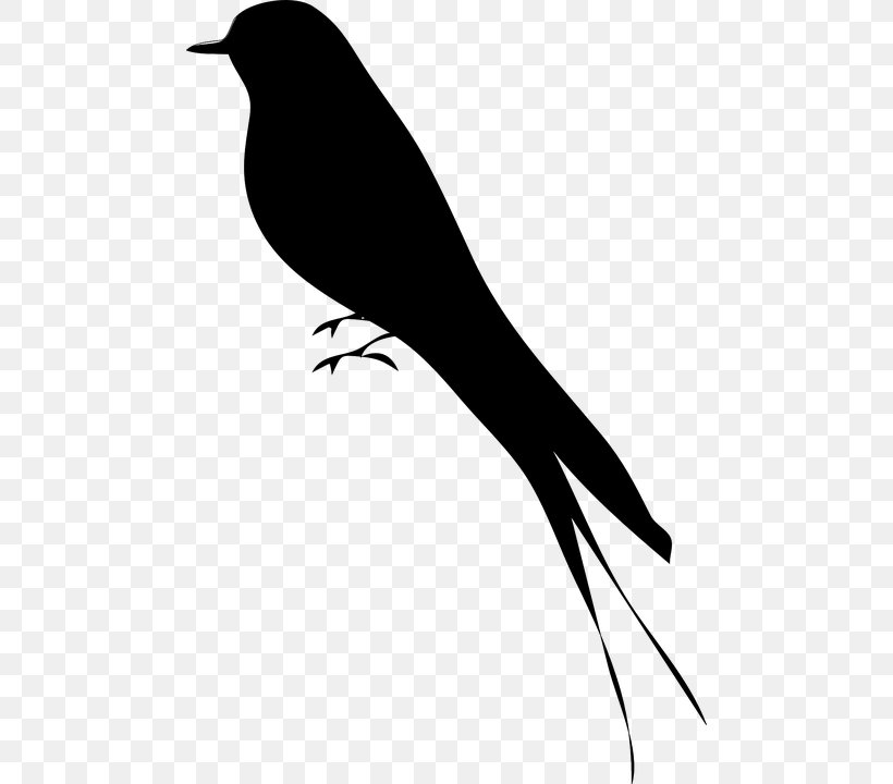 Bird Silhouette Clip Art, PNG, 478x720px, Bird, Art, Beak, Black And White, Branch Download Free