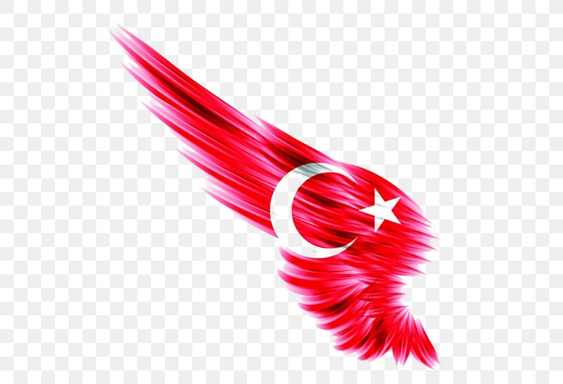 I Duvarkapla.co | Wall Paper Flag Of Turkey Ottoman Empire Istanbul, PNG, 560x560px, Flag Of Turkey, Bing Images, Close Up, Emblem, Flag Download Free