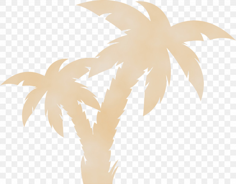 Palm Trees, PNG, 3000x2340px, Watercolor, Biology, Flower, Leaf, Paint Download Free