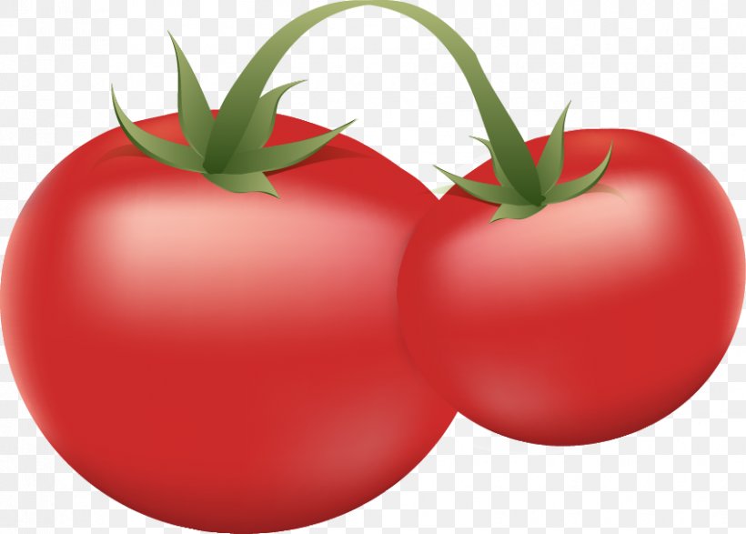 Plum Tomato Russian Rostock Bush Tomato, PNG, 850x609px, Plum Tomato, Apple, Bush Tomato, Diet Food, Food Download Free