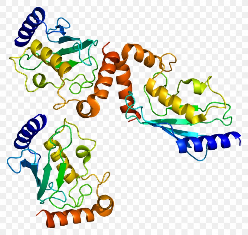 Protein ISG15 Anaphase-promoting Complex Ubiquitin-conjugating Enzyme, PNG, 924x878px, Watercolor, Cartoon, Flower, Frame, Heart Download Free