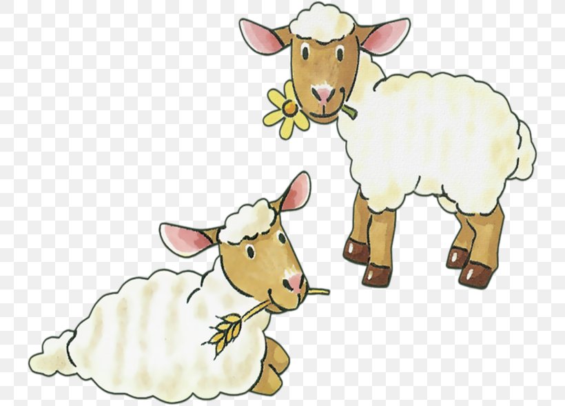 Sheep–goat Hybrid Sheep–goat Hybrid Cattle Clip Art, PNG, 742x589px, Sheep, Animal Figure, Bovid, Caprinae, Cartoon Download Free