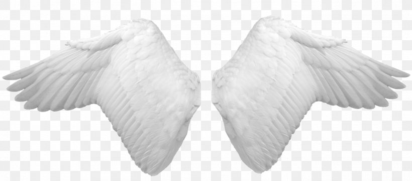 Wing, PNG, 1347x592px, Wing, Beak, Black And White, Editing, Feather Download Free