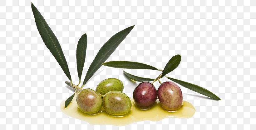 Olive Oil Condiment Picual Arbequina, PNG, 665x418px, Olive Oil, Arbequina, Cake, Condiment, Cup Download Free