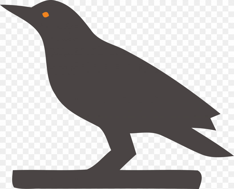 Birds Beak Black And White Silhouette Meter, PNG, 3000x2423px, Birds, Beak, Biology, Black And White, Crow Download Free