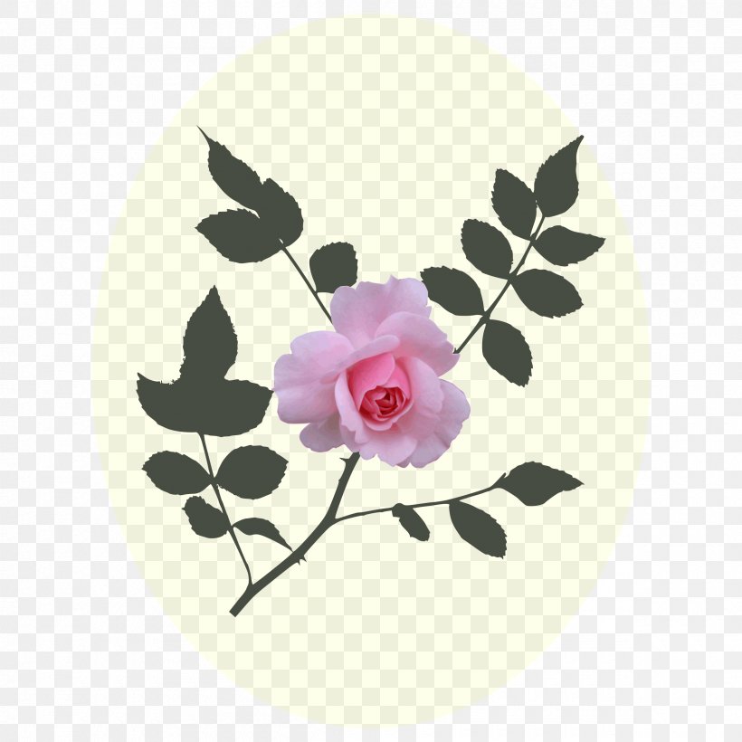 Clip Art, PNG, 2400x2400px, Rose, Apink, Coloureds, Flora, Floral Design Download Free