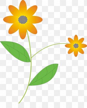 Sunflower - Flower Flora Petal Illustration PNG