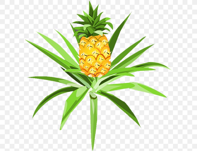 Pineapple Pitaya Auglis, PNG, 611x630px, Pineapple, Ananas, Auglis, Bromeliaceae, Cartoon Download Free