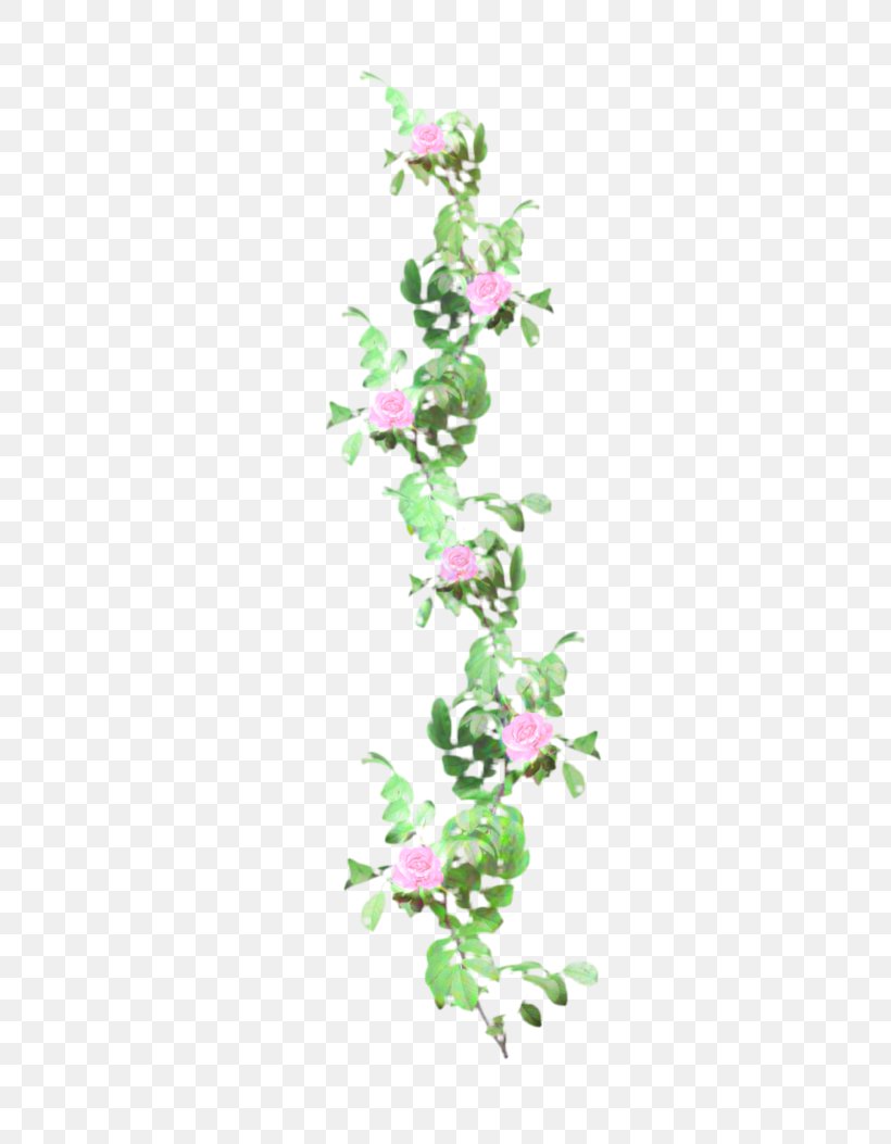 Plant Stem Leaf Flower Plants, PNG, 756x1053px, Plant Stem, Branch, Flower, Flowering Plant, Ivy Download Free