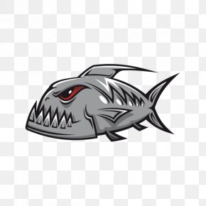 Shark Sticker Color Printing PNG
