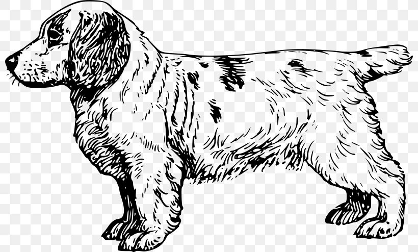 Dog Clip Art, PNG, 800x494px, Dog, Artwork, Black And White, Carnivoran, Coloring Book Download Free