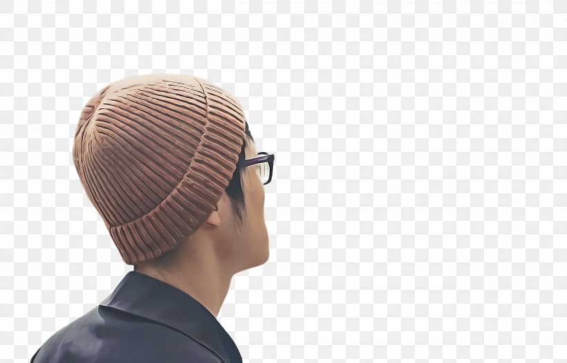 Glasses, PNG, 2496x1604px, Hair, Beige, Cap, Ear, Eyewear Download Free