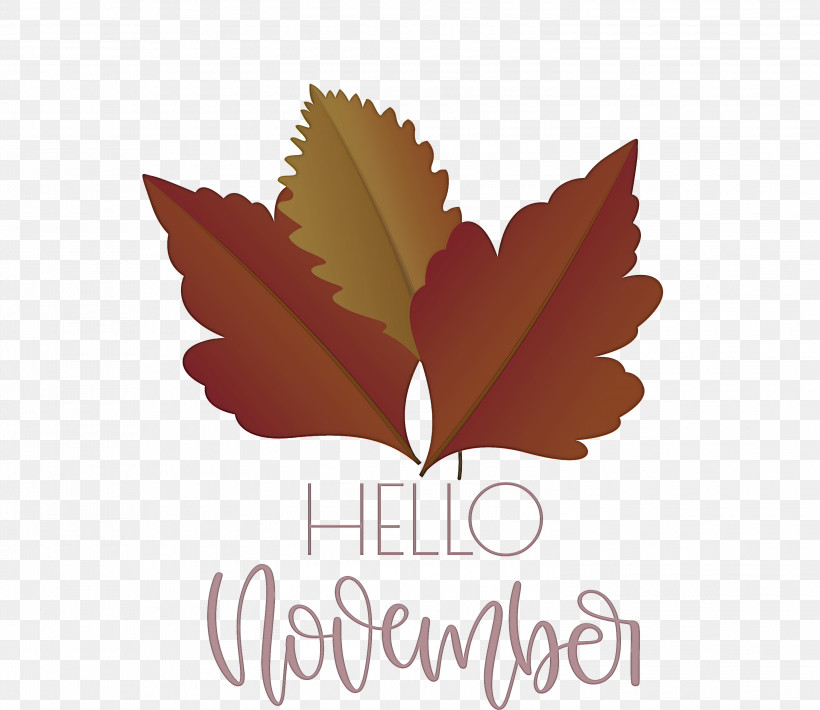 Hello November November, PNG, 3000x2600px, Hello November, Biology, Leaf, Logo, Maple Leaf M Download Free